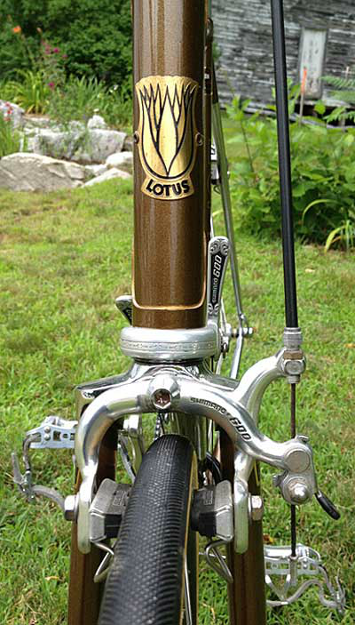 1983 Lotus Classique Head tube in Bronze 1983 Lotus Classique Head tube in Bronze