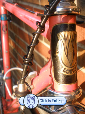 1987 Lotus Legend Head Tube Detail