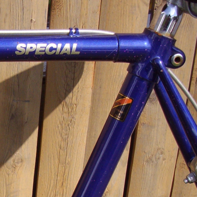 1987 Lotus Special Lug Detail