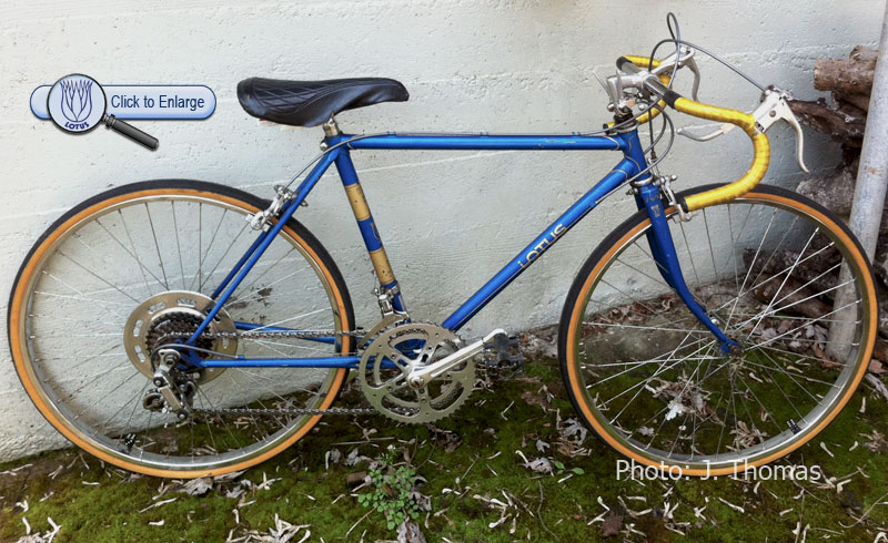 1983 Lotus Junior Special in Blue
