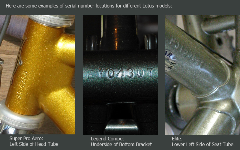 Lotus Serial Number Under Bottom Bracket